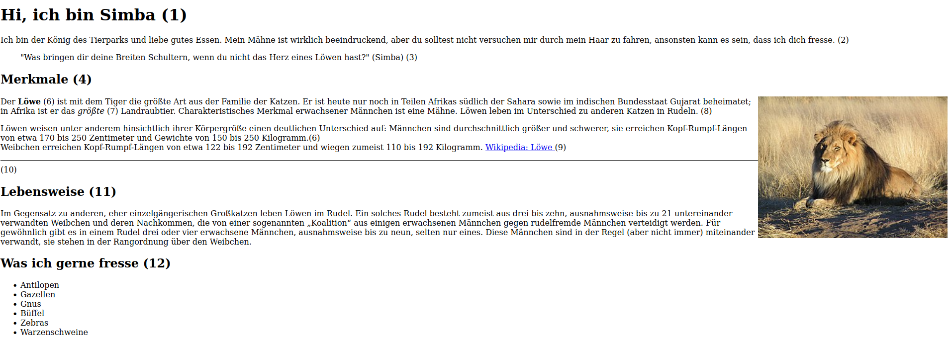 Löwe Beispielwebsite