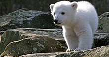 Unser Tierpark  GmbH